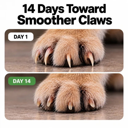 Paw Puzzle Box - From Meltdowns to Maintenance. No Paws Grabbed.