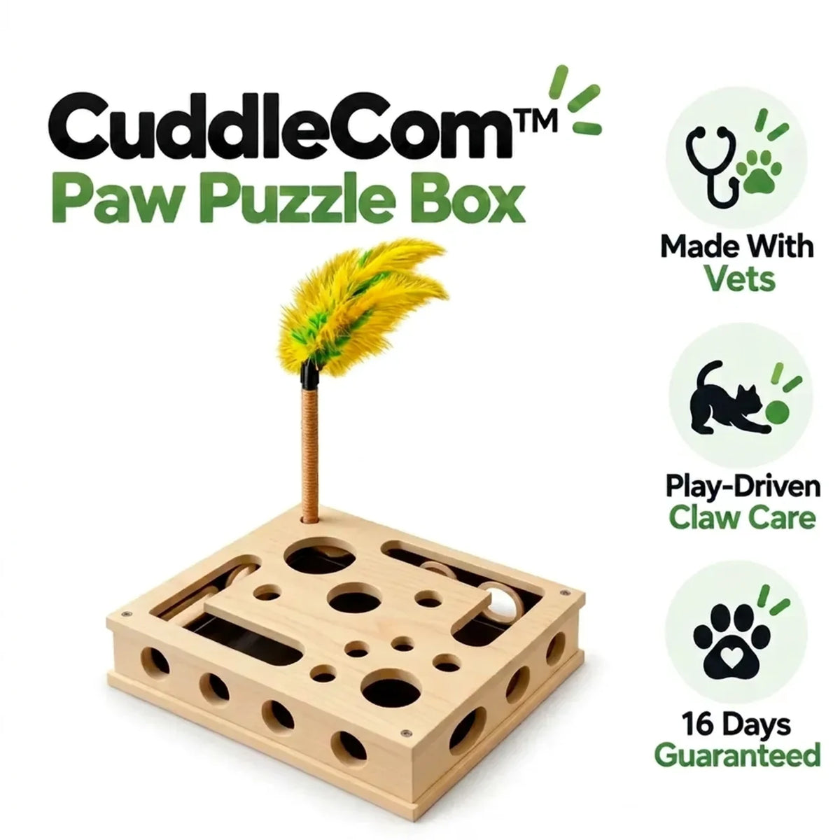 Paw Puzzle Box