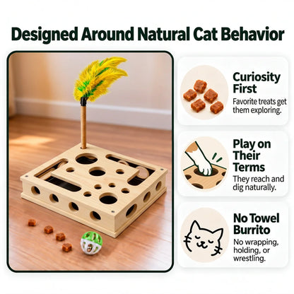 Paw Puzzle Box