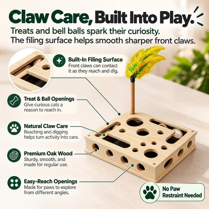 Paw Puzzle Box